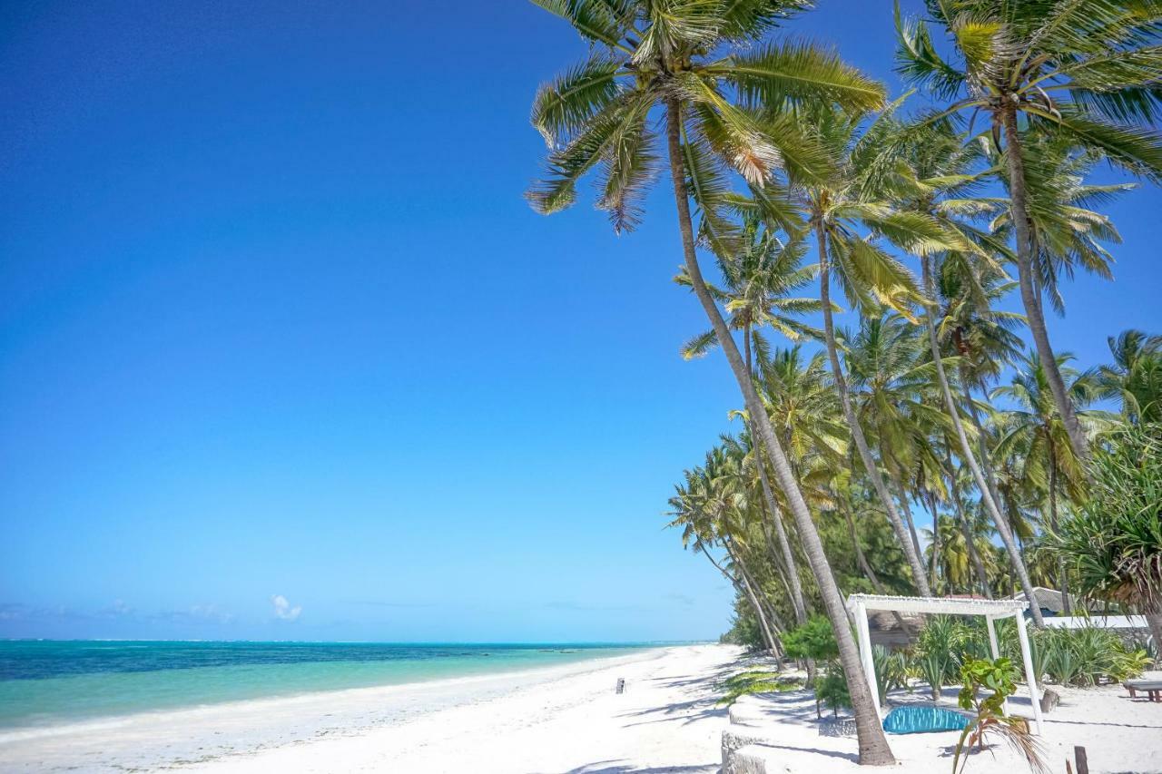 Indigo Beach Zanzibar Bwejuu Ngoại thất bức ảnh